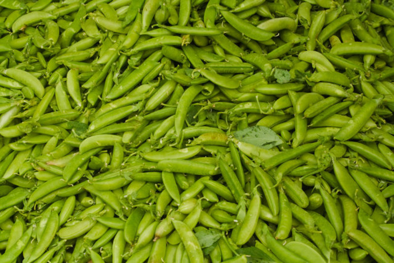 Green Beans
