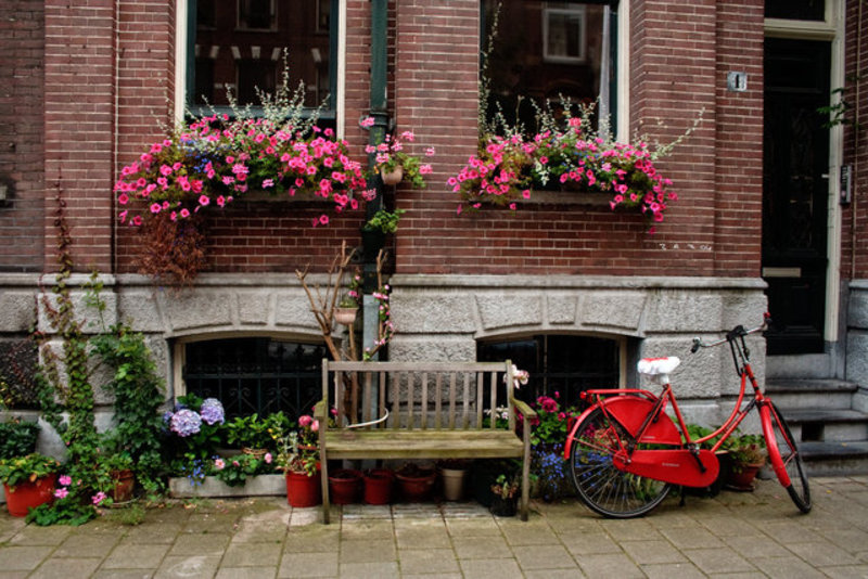 Amsterdam Wall, Bike & Bench