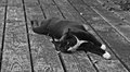 stretch.jpg