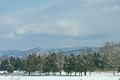 Winter Drive II