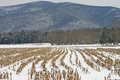 Winter Drive I