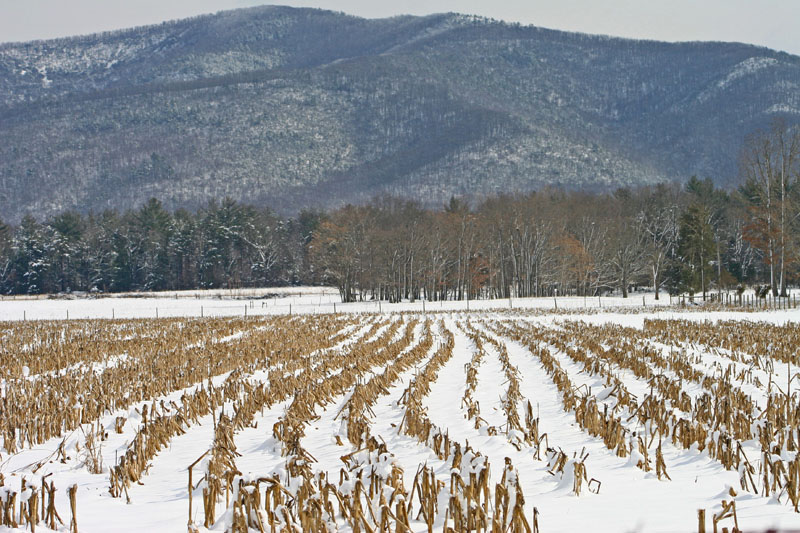 Winter Drive I