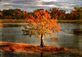' . substr('//images.dpchallenge.com/images_portfolio/55000-59999/57447/120/Copyrighted_Image_Reuse_Prohibited_969488.jpg', strrpos('//images.dpchallenge.com/images_portfolio/55000-59999/57447/120/Copyrighted_Image_Reuse_Prohibited_969488.jpg', '/') + 1) . '