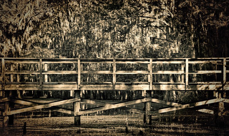 Caddo Lake State Park 1