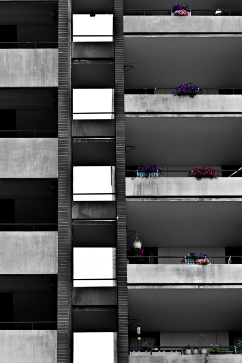 Silent View