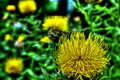 IMG_6474edited.jpg