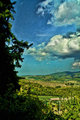 Italy-topazed (41 of 101).jpg