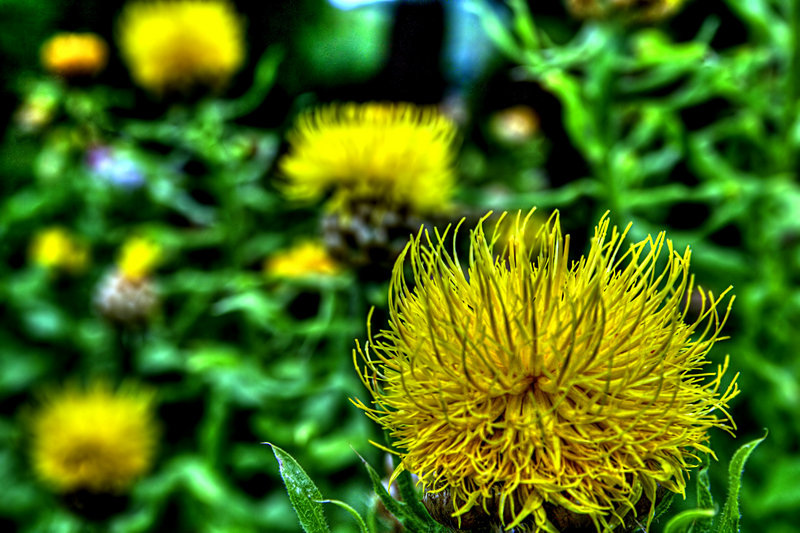 IMG_6474edited.jpg