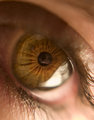 My reflection on the pupil
