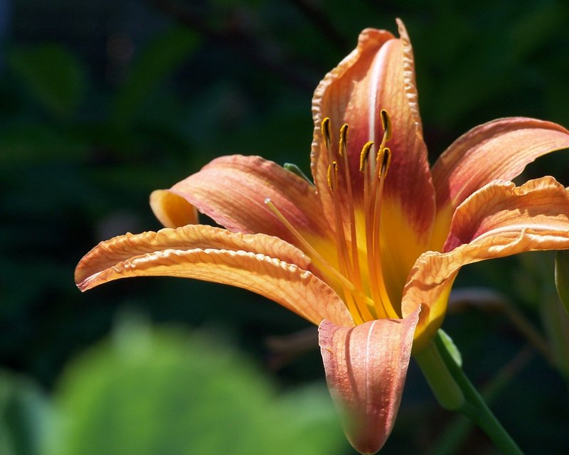 100_2888.JPG