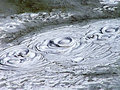 Artist Paint Pot