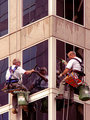 Window Washers