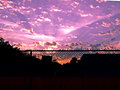 Webbed-Sky-T3161.jpg