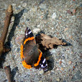 Black and Orange