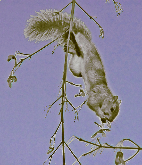 Dinner Upside Down