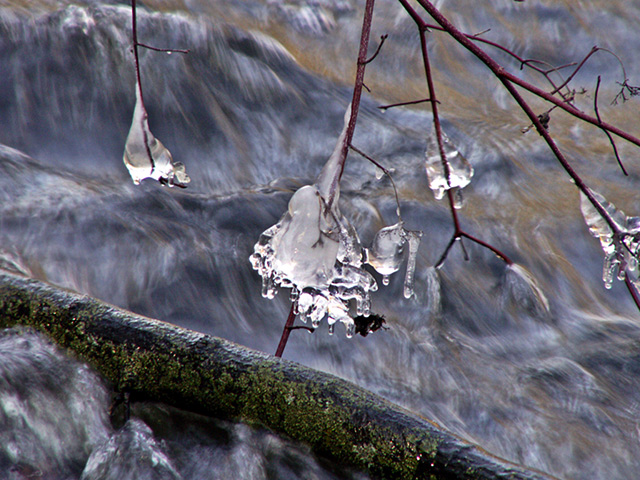 PICT3745-ice.jpg