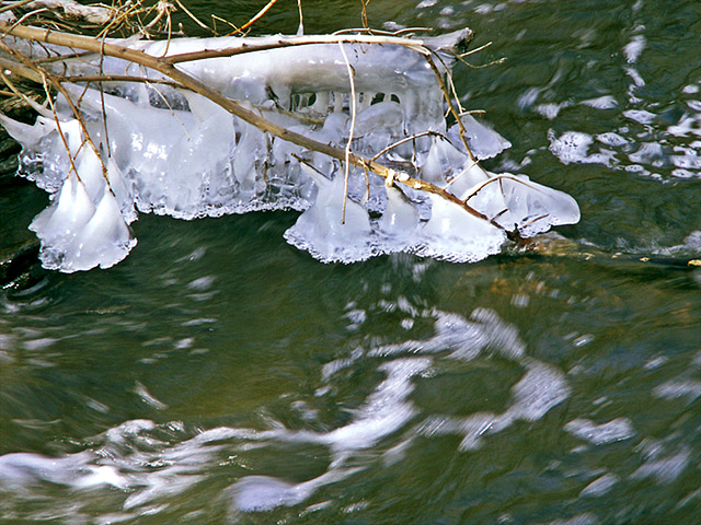 PICT3719-creek-ice.jpg
