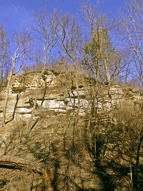 PICT3711-river-cut.jpg