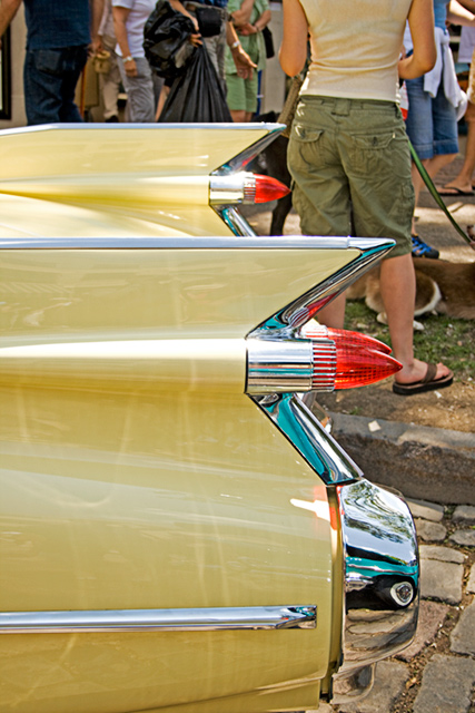     The Tail End
