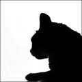 Cat Silhouette I