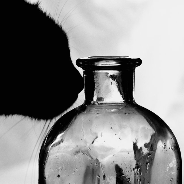 Where is the milk?