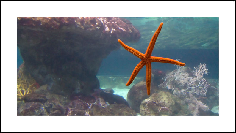 A Star