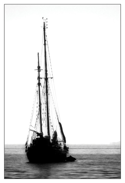 Waiting for the wind
