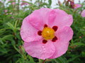 DSC05224.JPG