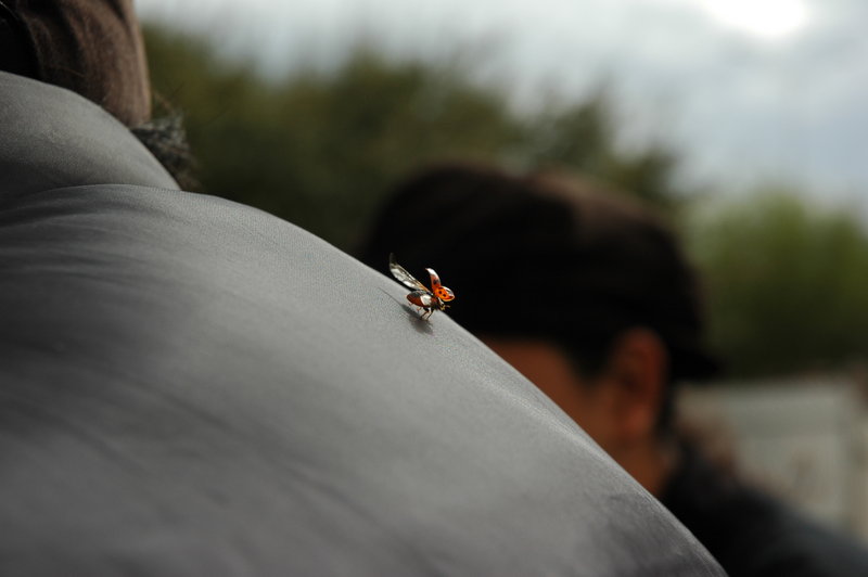 DSC_0090.JPG