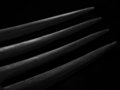 Fork Lines