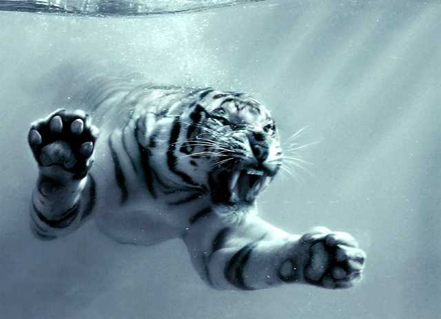 Underwater Tiger Outtake
