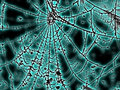 blue web.jpg