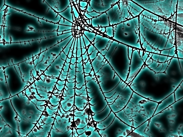 blue web.jpg