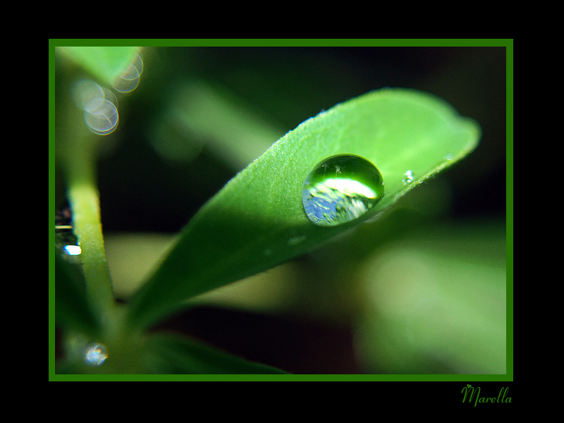 Just a drop