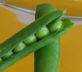 PeaPod.jpg