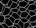 Tangled Web We Weave