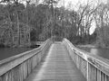 Winter Walk.jpg