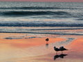 Easter Sunrise 