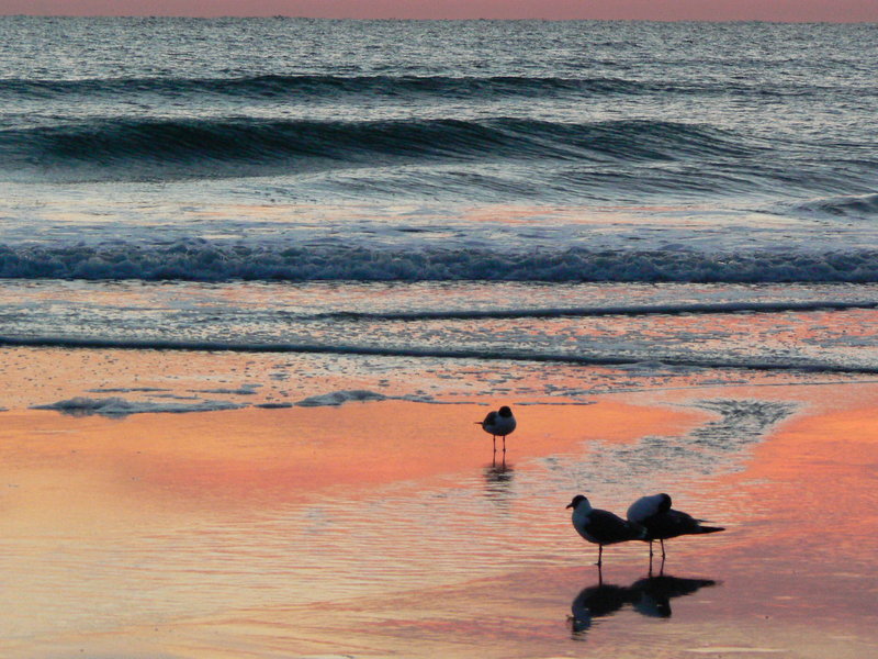 Easter Sunrise 
