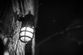 Cage Light