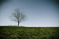 Isolation