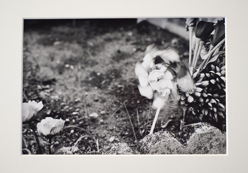 Pinwheel