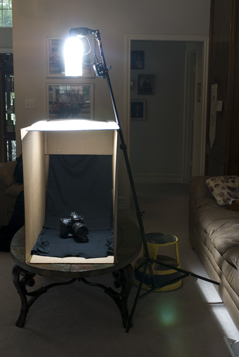 DSC_5350Web.jpg