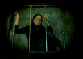 caged