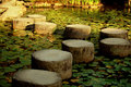 winding pathways