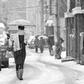Through the Snow