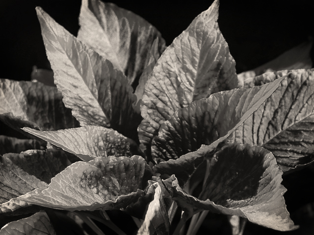 textured