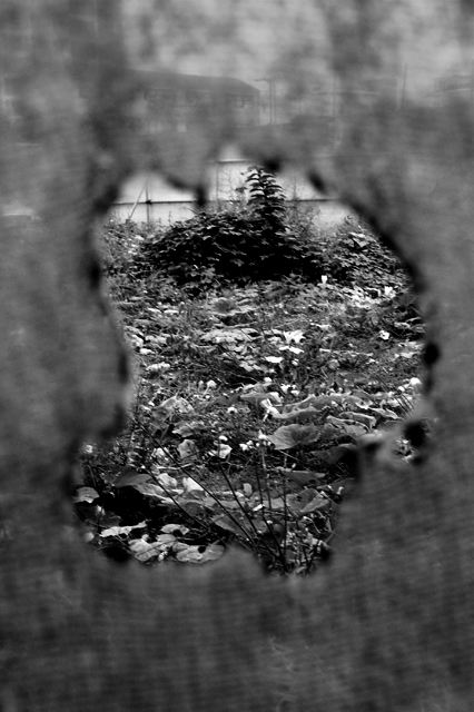 Secret Garden