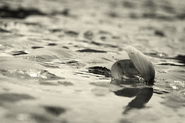 beached