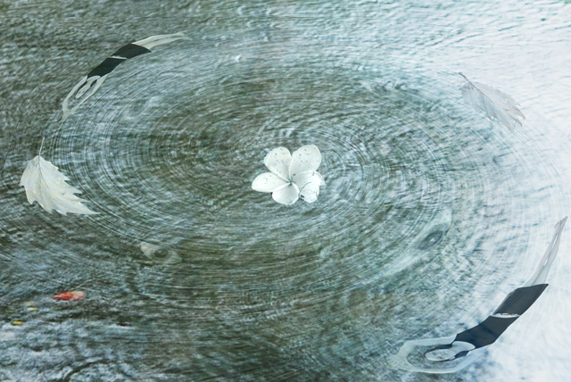 Image09 - Silence swimming in a pool of dreams...